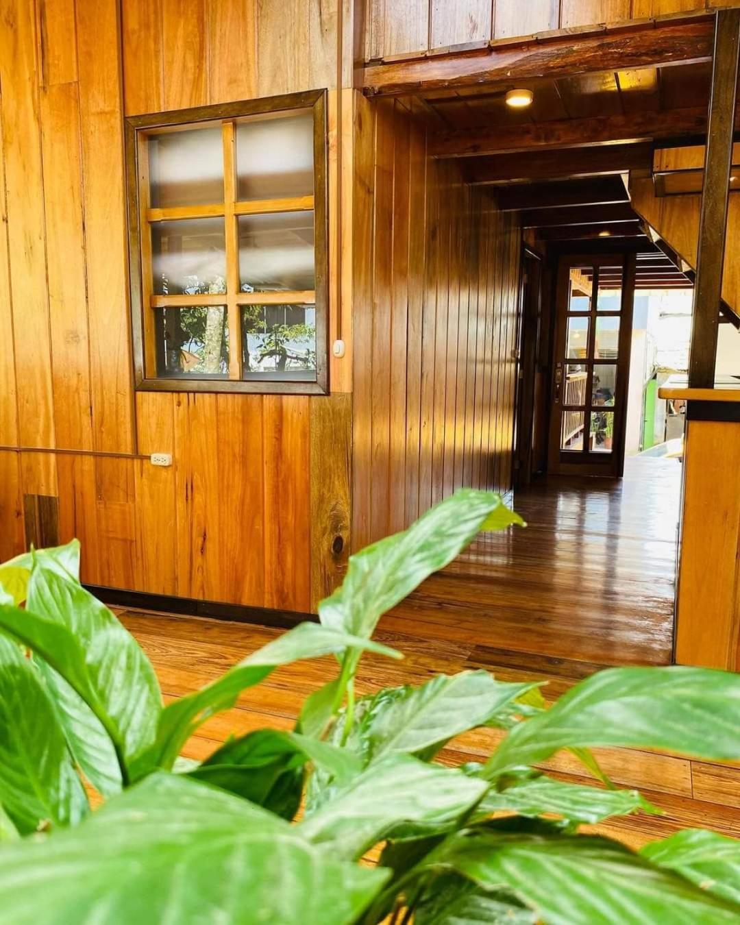 Guayabo Hostal ミンド エクステリア 写真