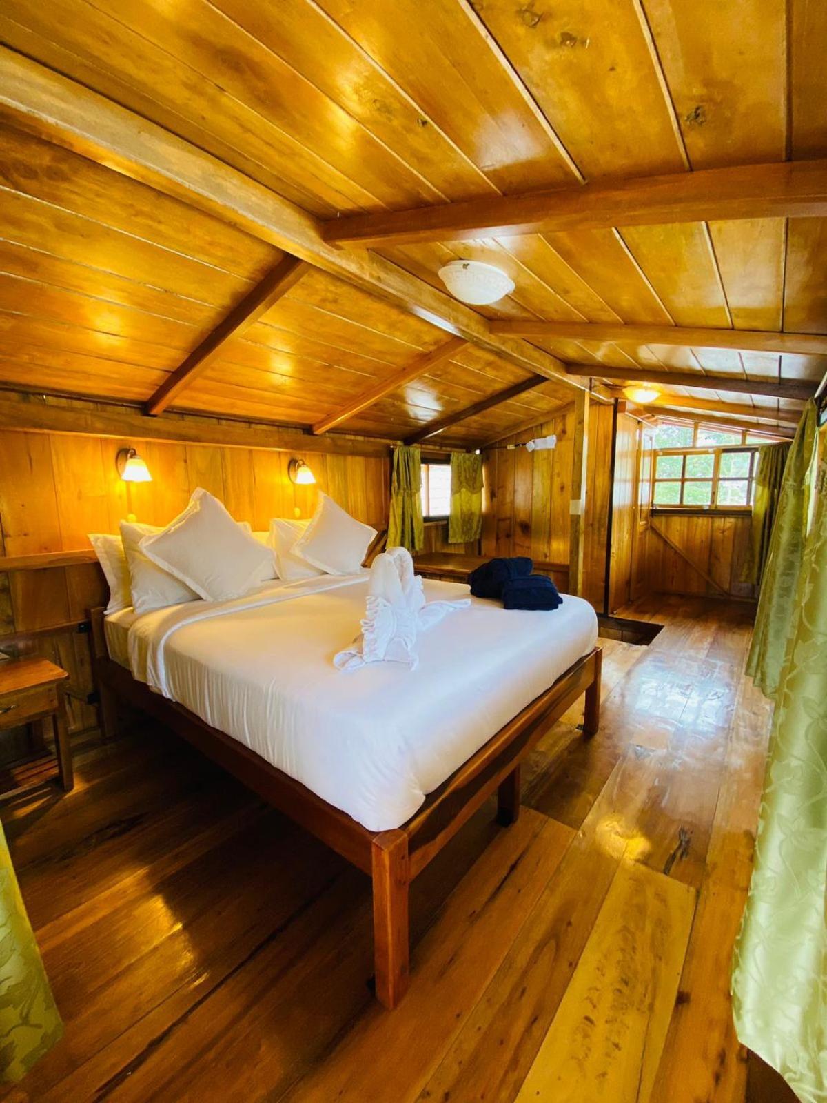 Guayabo Hostal ミンド 部屋 写真